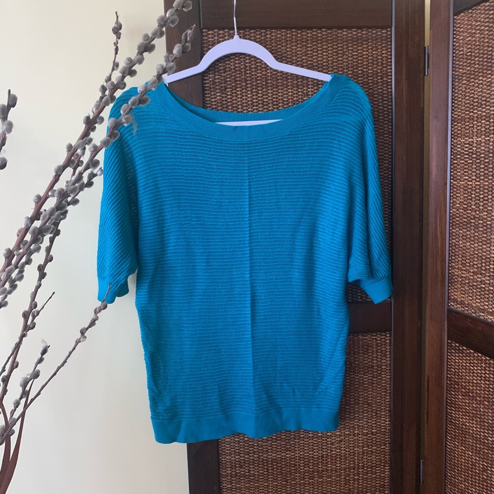 Super cute Express sheet sweater